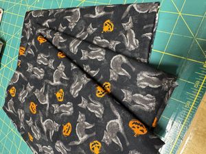 Hovedbilde Halloween katt